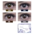 Lente de contato colorida Natural Vision anual - Com grau Lente de contato colorida Natural Vision anual - Com grau