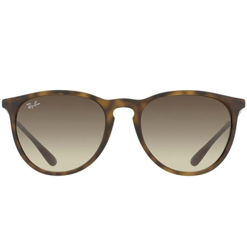 Sunglasses similar to store ray ban erika