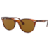 Óculos de Sol Ray-Ban Wayfarer II RB2185 954/33 55